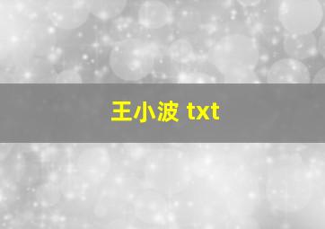 王小波 txt